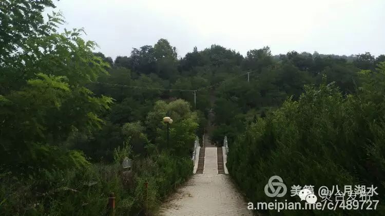 【荆山之夏】一个离开灵台三十年的灵台人 今夏来到荆