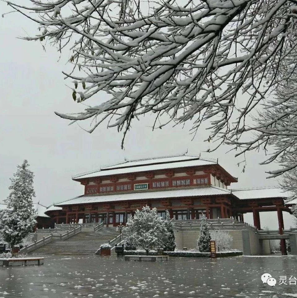 灵台县迎来了2018年的第一场雪