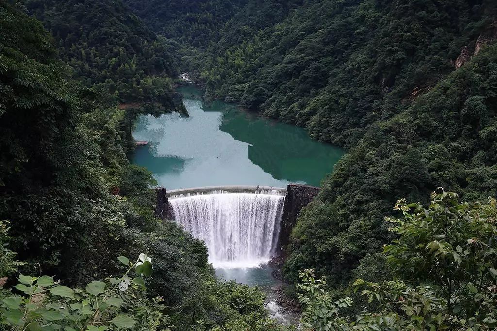 中国林改第一村武宁长水又获重磅荣誉村委会获评全国集体林权制度改革
