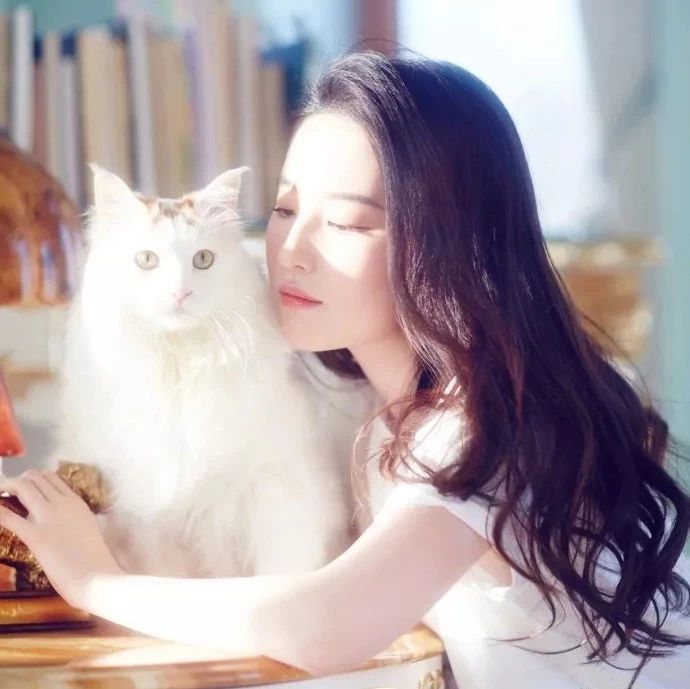 刘亦菲6年收养了50多只流浪猫,网友:这才是真正的女神啊!