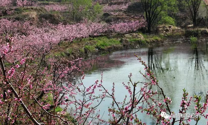 【休闲穿越】4月15日(周六:西池-苍龙岭-石鳖湾桃花溪休闲穿越