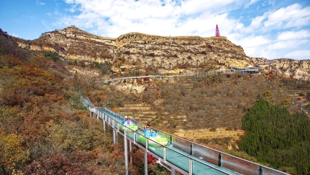 红叶柿岩旅游区植树节活动温暖来袭!