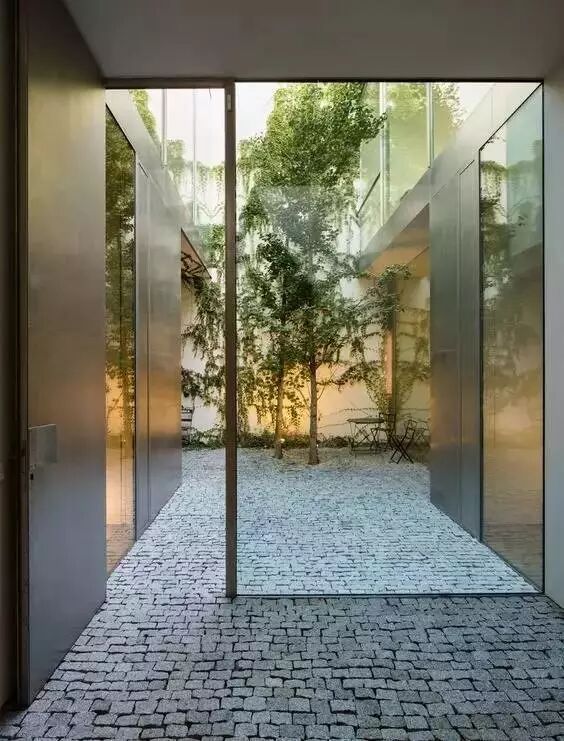 一棵树一方天井一方天地
