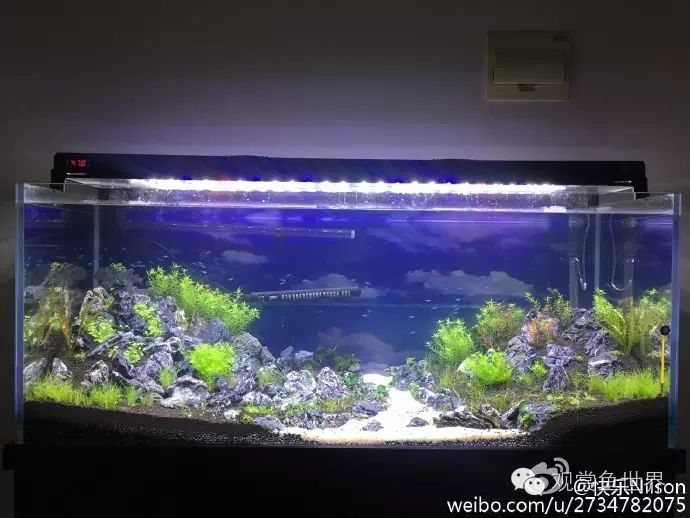 【鱼友开缸笔记】一米五的草缸,开缸记