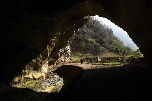 记者探秘:巴山林场,三元的天坑暗藏古化石及暗河