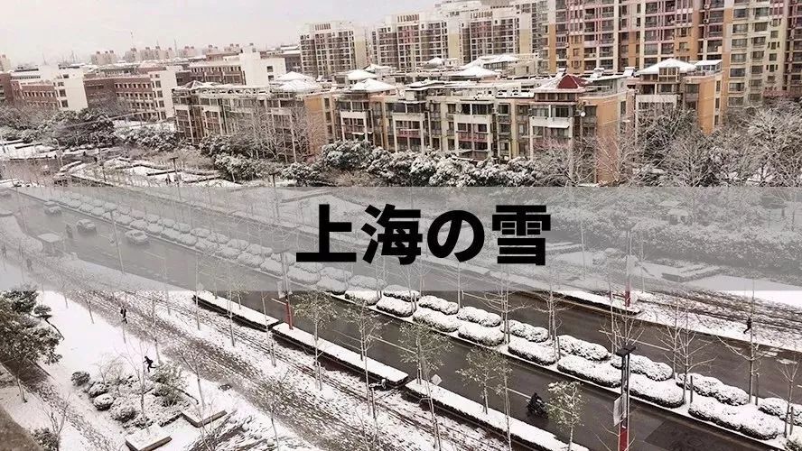 落过雪的上海嗲爆了!一大波高清照片带你看遍罕见大雪后的魔都!
