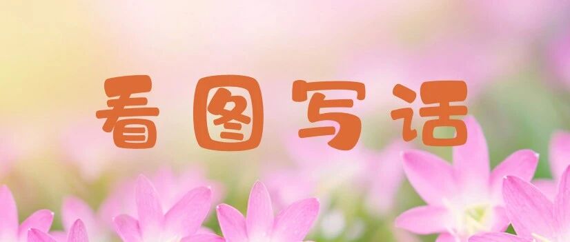 【青春语文·王巧露教学研究】看图写话｜半个蛋壳的有趣故事