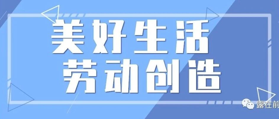 【青春语文·王巧露德育研究】｜劳动创造美好未来，教育成就幸福人生【2】