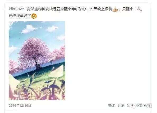 Kiko姐怀孕的细碎念2-记录红房子住院的孕晚期A-怀孕期