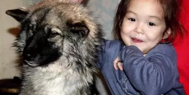 俄罗斯三岁女孩和爱犬失踪，三周后小狗独自咬着女孩的发带回来……