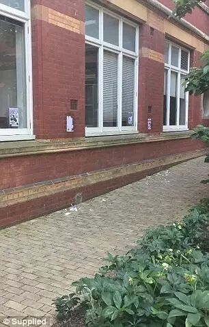 上古卷轴5种族英文_种族的英文_种族歧视英文