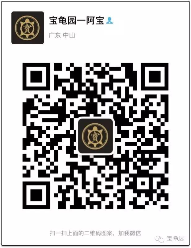 养龟致富视频_养乌龟致富_致富经养龟