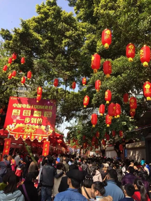 广州迎春花市_2021年广州市迎春花市_广州的迎春花有什么特点