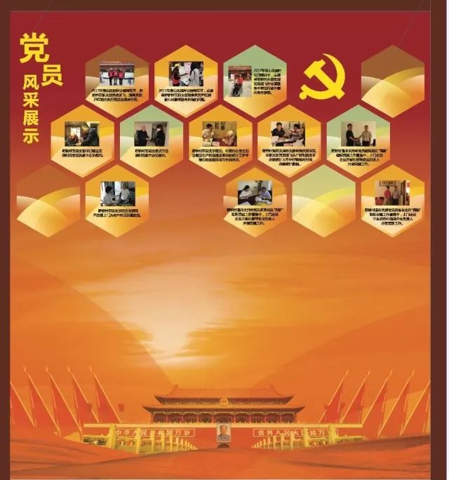 党员风采展示区