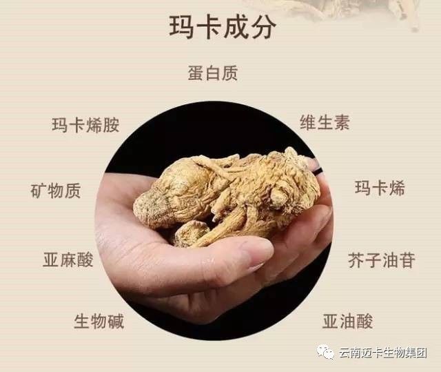 玛卡真的有效!2017年央视连续给出大家一个权威的交代!