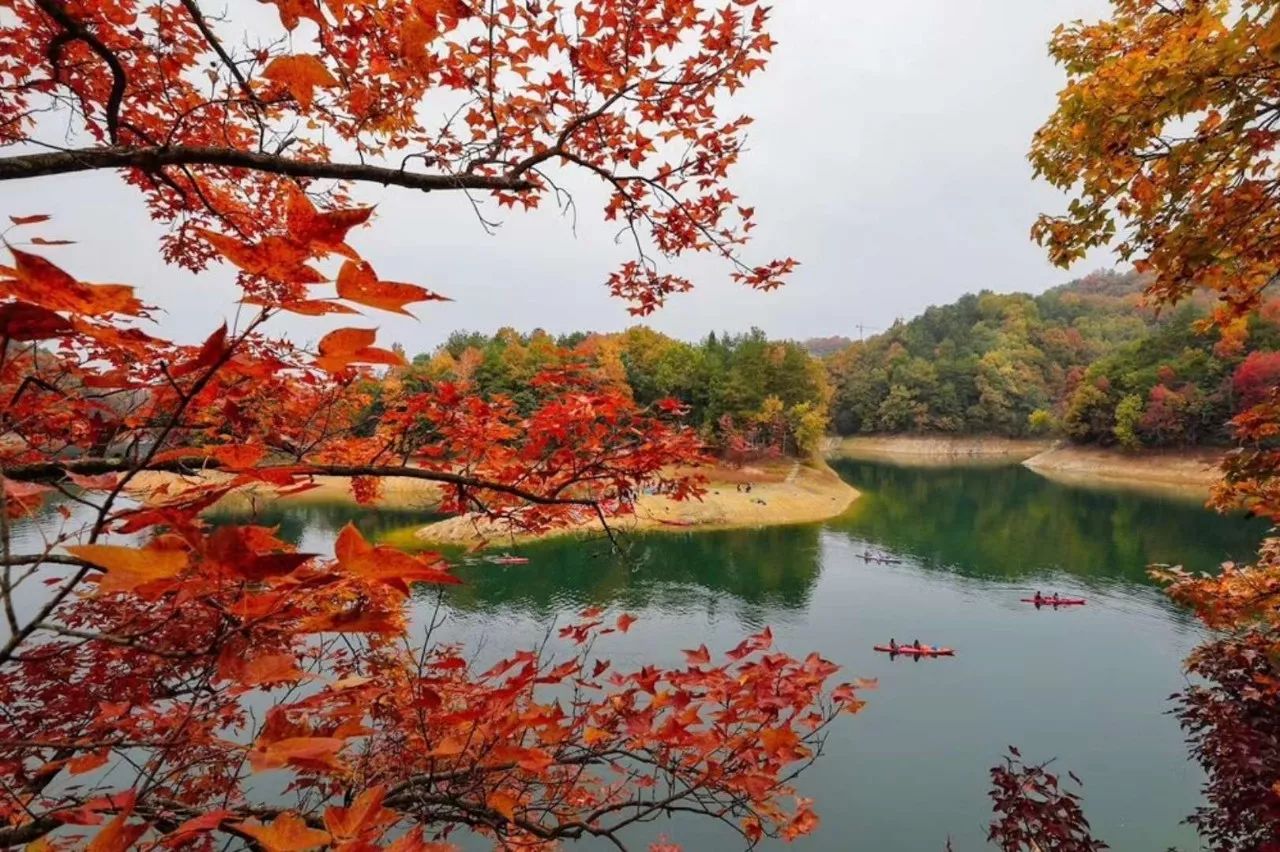 红叶湾属千岛湖风景区中心湖区屏峰风景小区,位于小金山半岛和进贤列