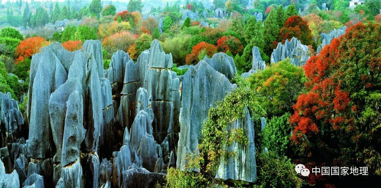 中国国家地理&nbsp;2009年02月&nbsp;摄影/杨新民