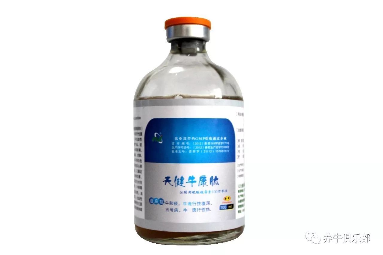 犊牛下痢病的诊治