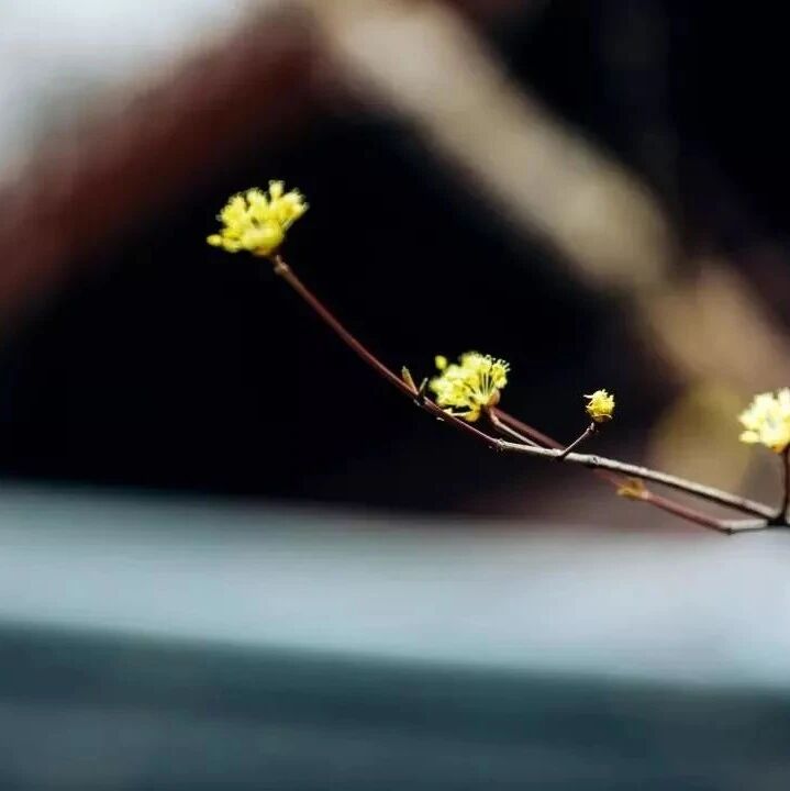 放下过去，着眼未来，精进自己！