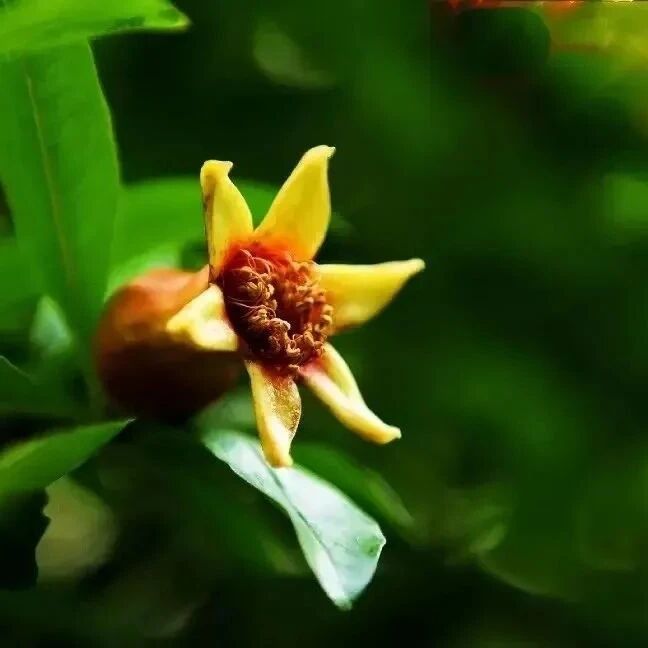 修行，找到自己的内在力量