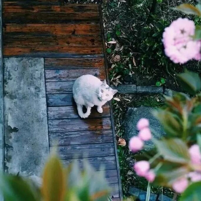 苦尽，甘自来！