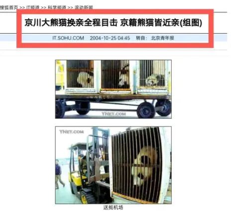 熊猫频道24小时直播大熊猫生活_熊猫的生活环境_熊猫的生活环境