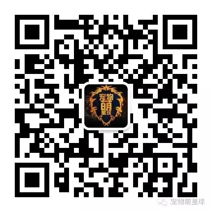 谁说怀孕不能养狗?我二哈第一个不服!-怀孕期