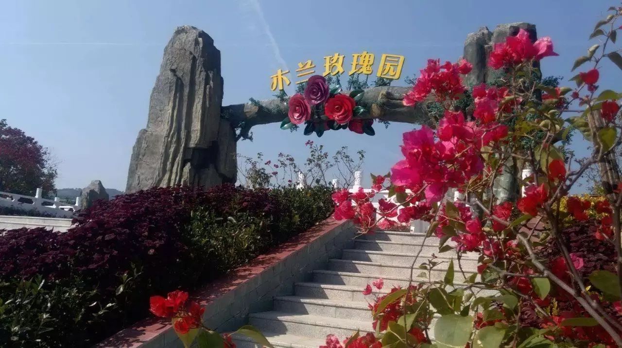 【通通直达】武汉木兰草原-木兰玫瑰园1晚2日游