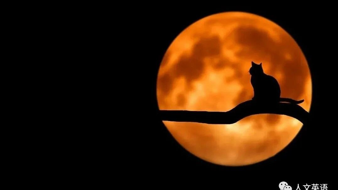 寒假电影--疯狂动物城（电影+主题曲）