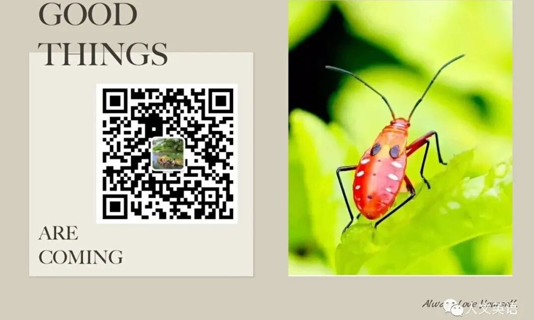 教材⭐英文绘本：RAZ 15.