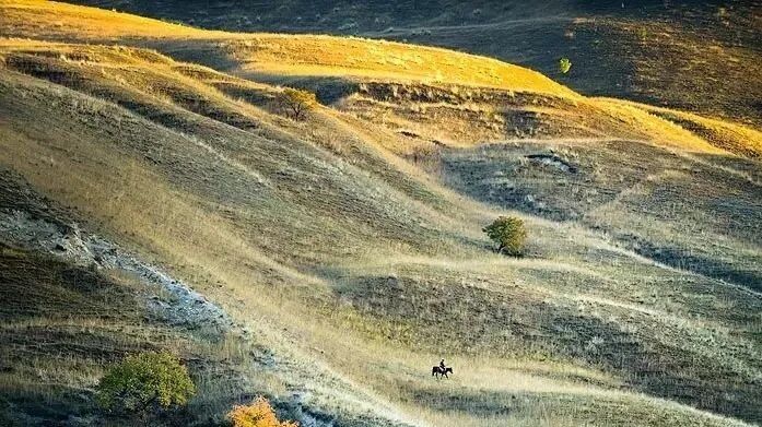 自然拼读绘本有声书25.