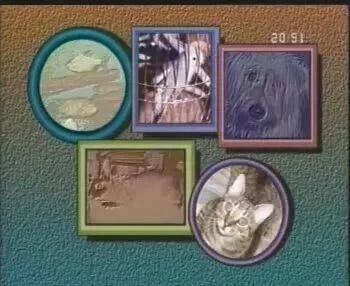 收录于合集⭐走遍美国系列1-7-2