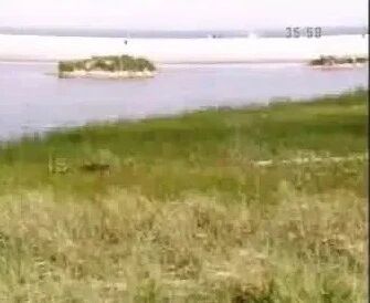 收录于合集⭐走遍美国系列1-12-2