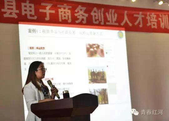 乡村政府创业项目_创业招商好项目雪加电子烟_乡村电子商务创业项目