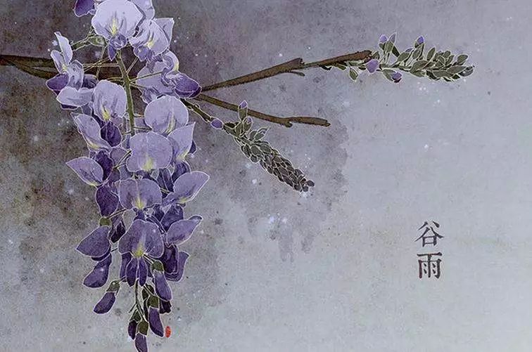 节气物候丨杨花落尽,雨生百谷