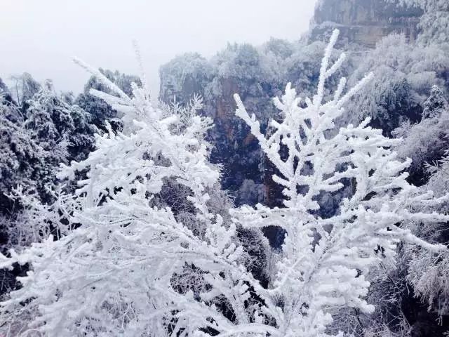 长沙冬季旅游_冬季旅游_冬季涠洲岛旅游攻略