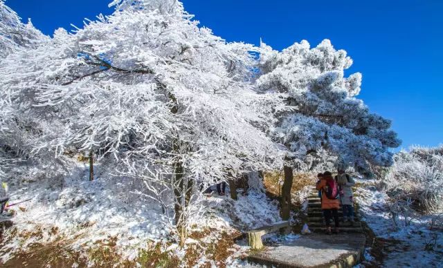 冬季旅游_长沙冬季旅游_冬季涠洲岛旅游攻略