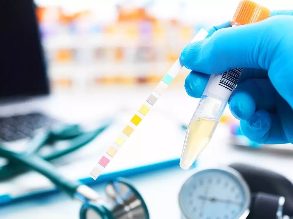 �������������飺һ������������