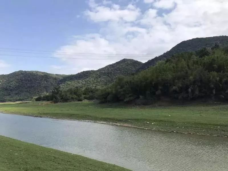 第三届普宁梅花旅游节普宁大坪镇特色之旅