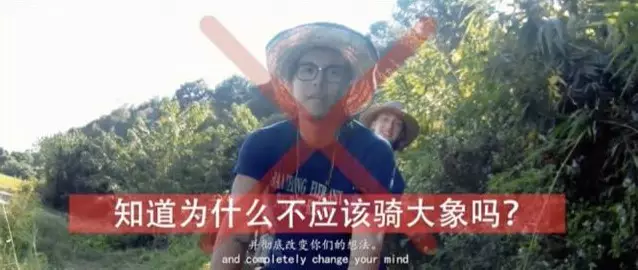 这件事,您和孩子都应该知道…… 这件事,您和孩子都应该知道……