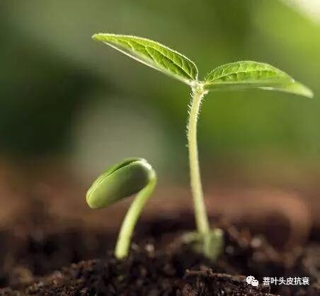 哪些头皮问题需要排毒？