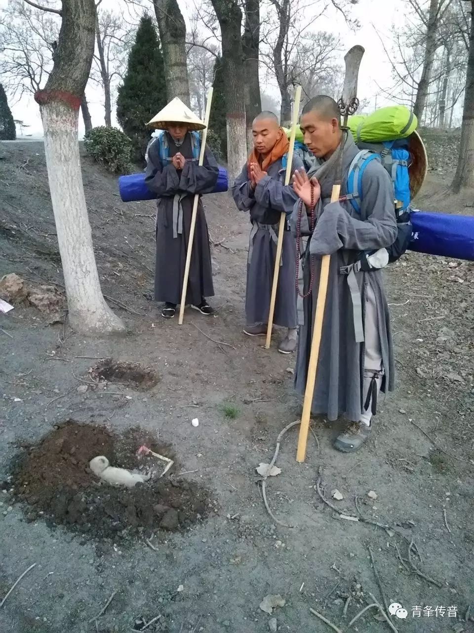 三衣一钵着袈裟,振锡天涯乞饭茶