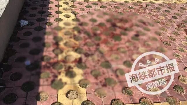 泉州一對(duì)男女當(dāng)街吵架 另一男子持尖將吵架男砍死！