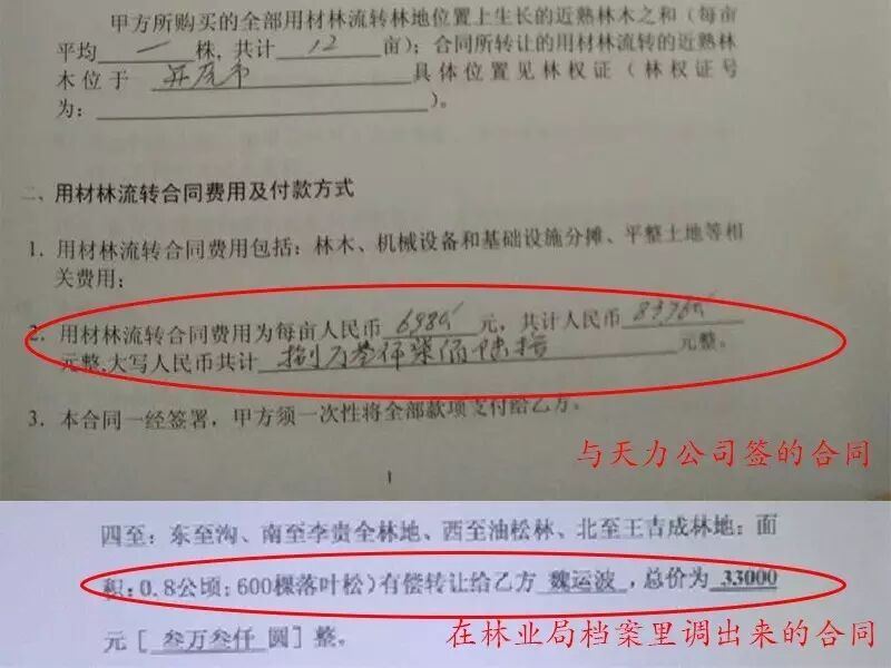 一塊林地 兩個價格? 遼寧公司陰陽合同騙過林業(yè)局