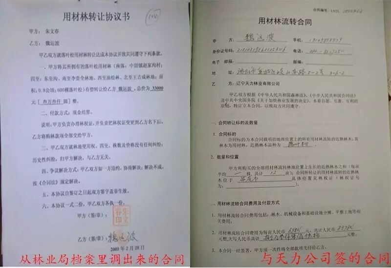 一塊林地 兩個價格? 遼寧公司陰陽合同騙過林業(yè)局