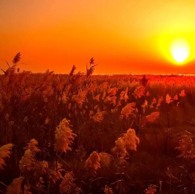 田丽 | 童年,在冬天