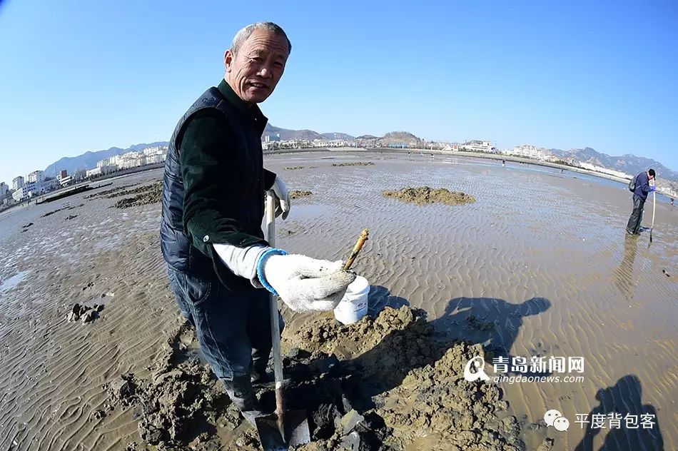 青岛市民春节沙子口赶海竹蛏子白蛤喇啥都有