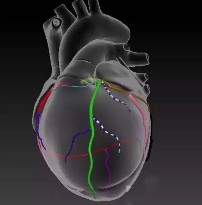 你了解自己的"心"吗?——心脏动态解剖全解!