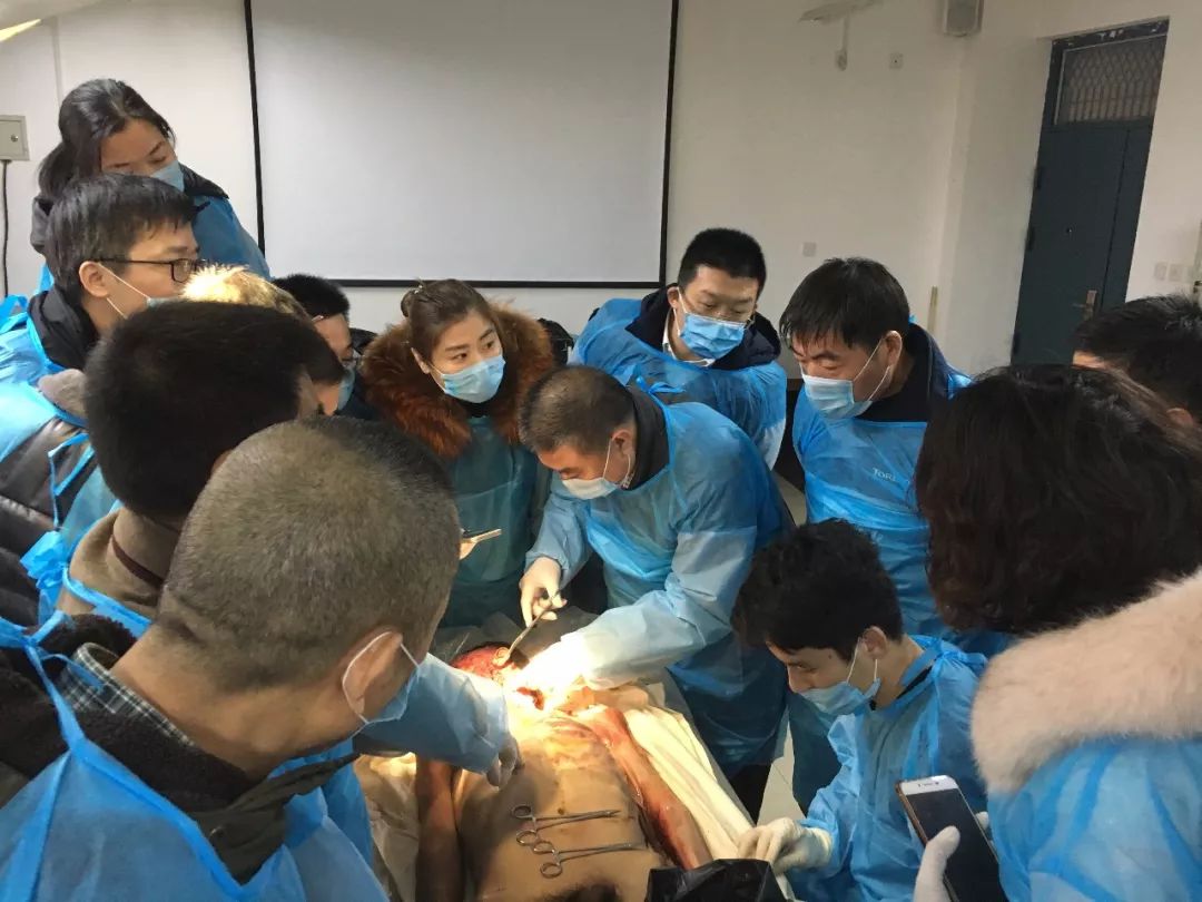 脊神经,交感神经和重要血管的分布;结合针刀医学临床技术,从解剖学