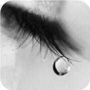 高圆圆竟然当了4次小三,现在却因没怀孕被家暴?准备离婚?!